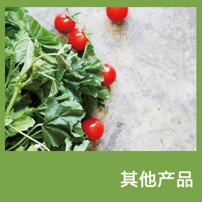 其他产品