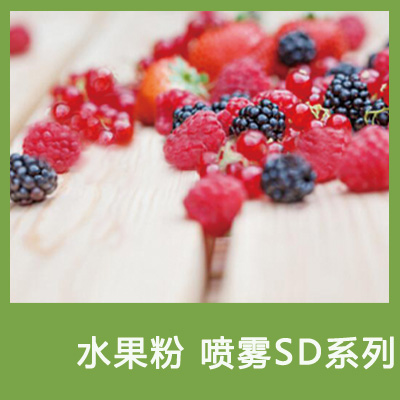 水果粉喷雾干燥SD系列